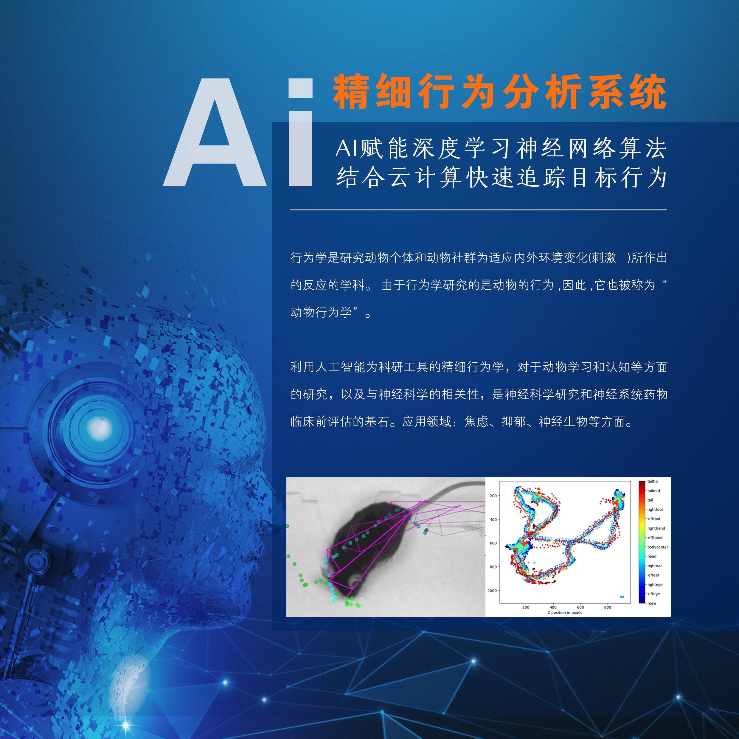 新研究：抑郁症患者脑部特定神经网络较大