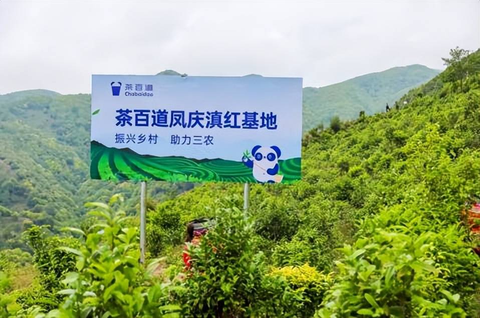 百亿级卡牌赛道,助力探索中国文化故事新表达