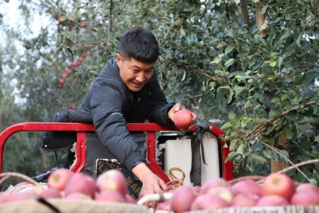 老街口岸农产品出口增长212%