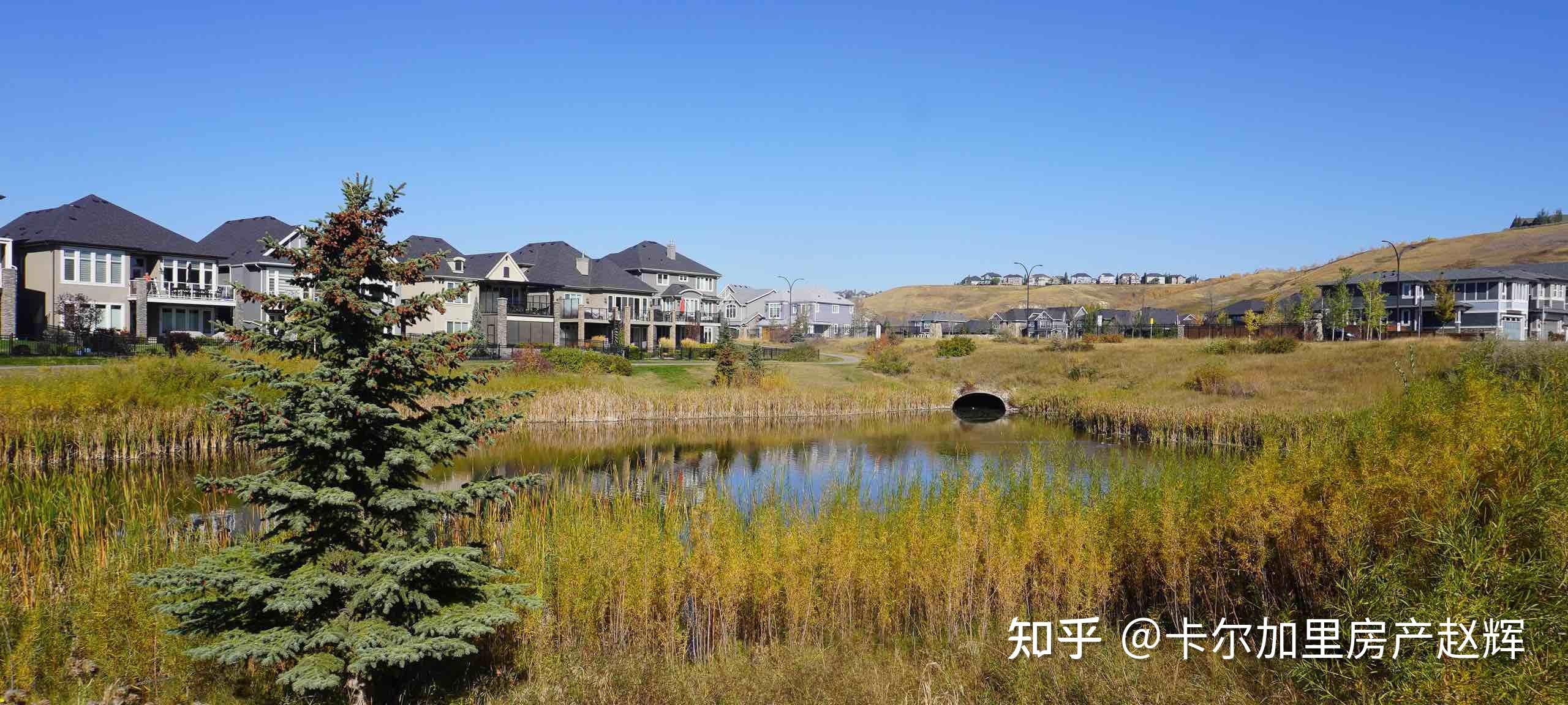 卡尔加里科技工作岗位增长速度居北美之首