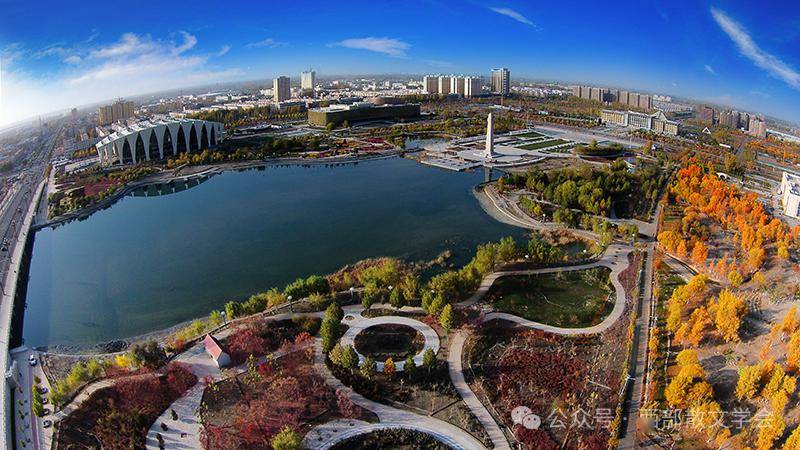 探源科技文化长河|从躬耕农桑到智能育种,一“种”力量不断生长