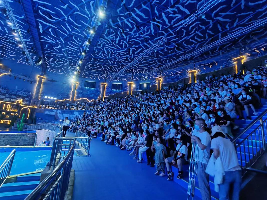 提供亿元补贴 飞猪与香港旅游发展局达成新合作