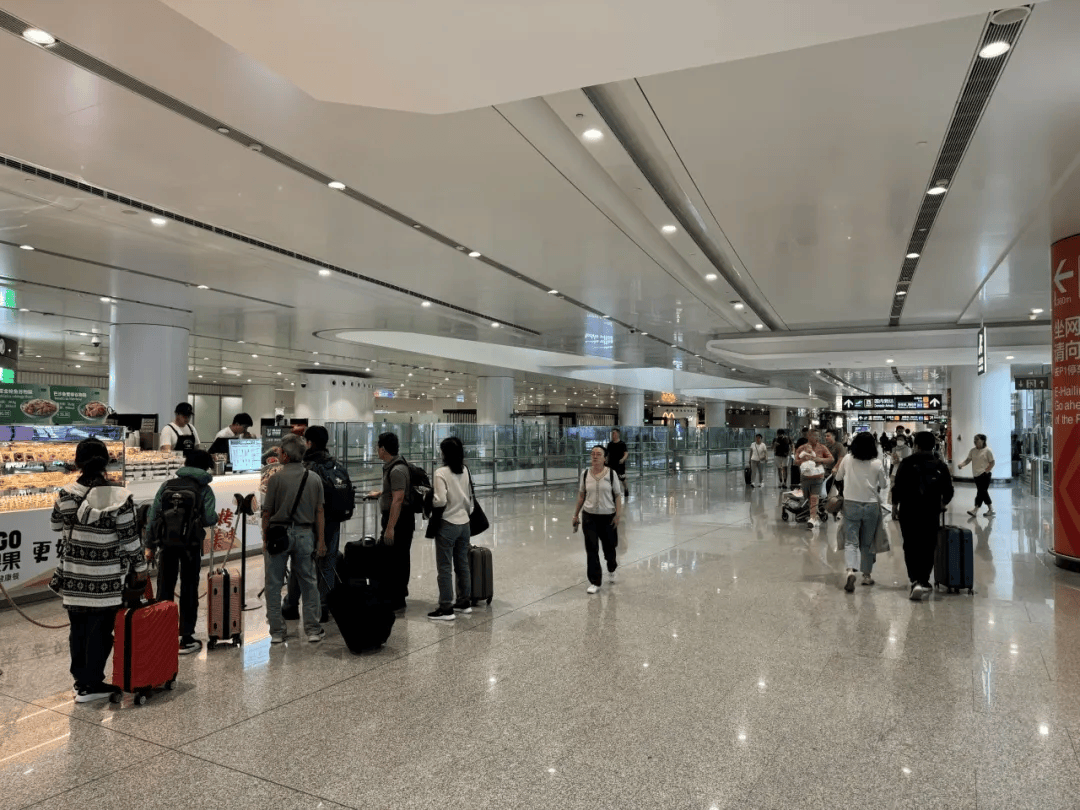 “人从众”!多地紧急提醒!铁路、公路、民航迎客流高峰