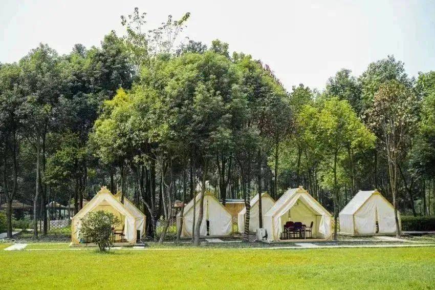 国庆假期,长线游火爆, “松弛感”玩法出圈!