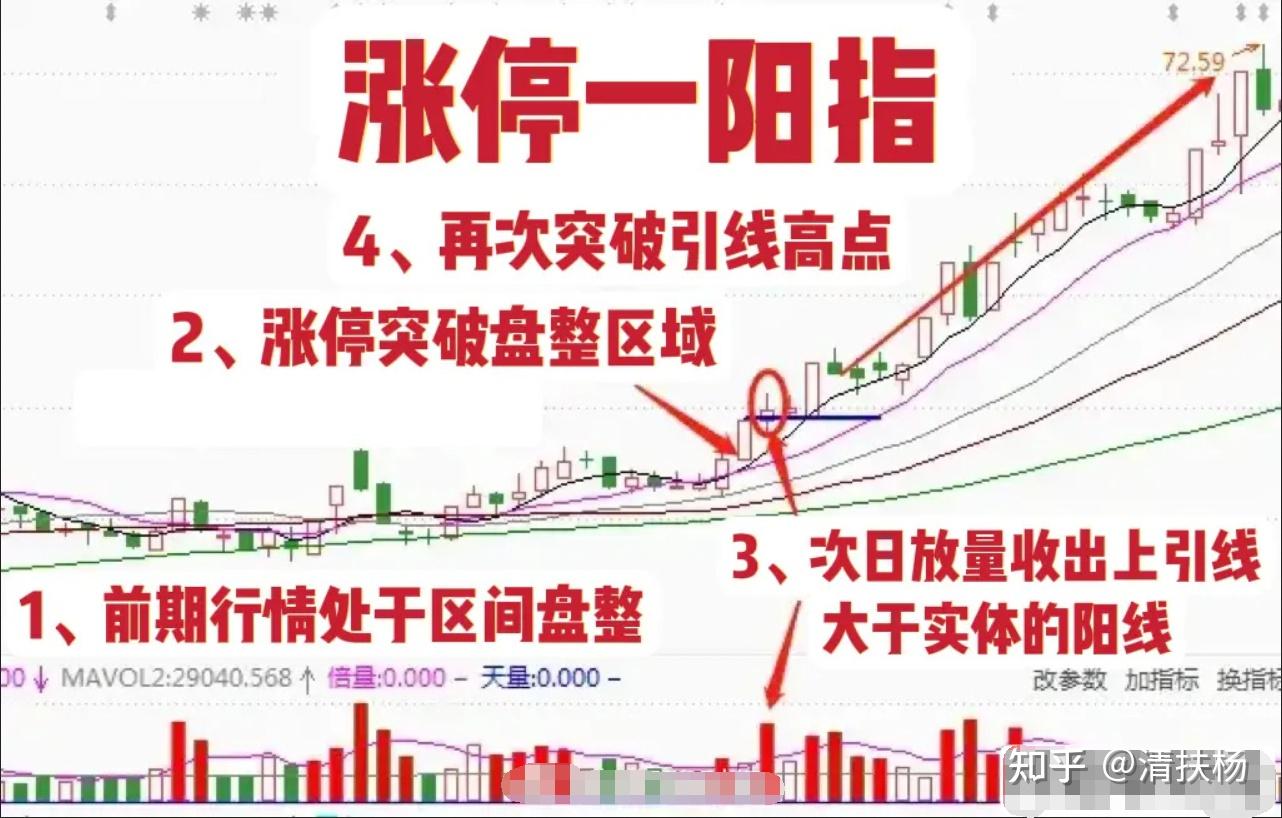 119股每笔成交量增长超50%