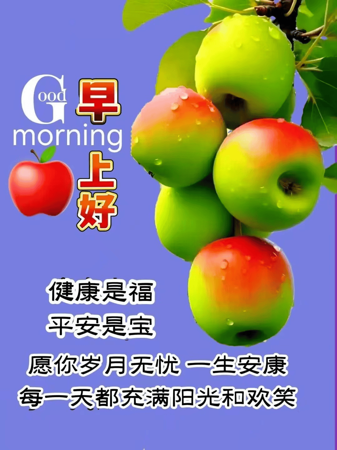 2024年10月9日今日金华普中板价格最新行情消息