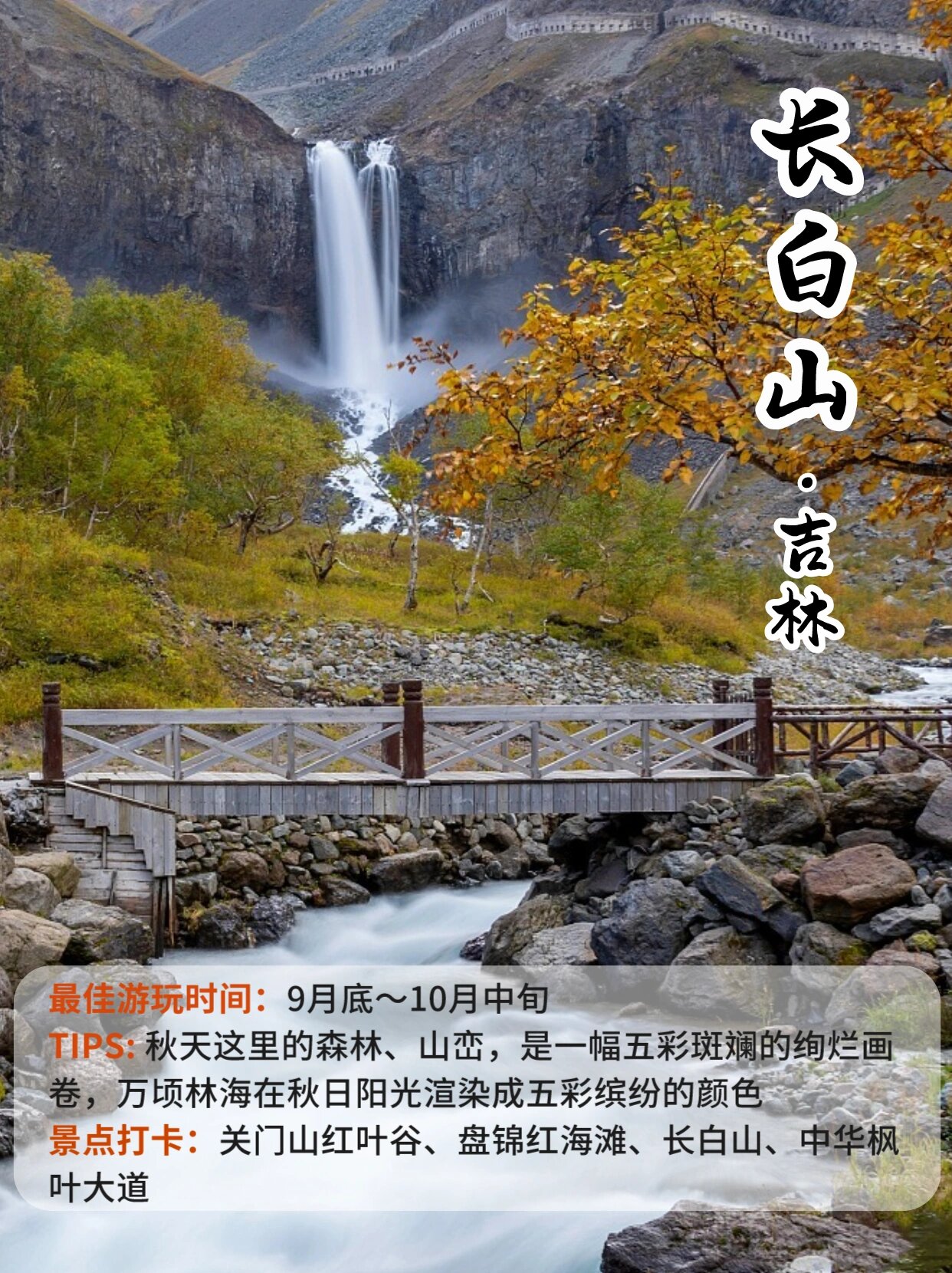 10月17日阔叶浆行业产能利用率为91.23%