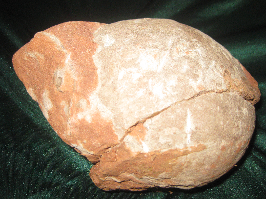 你见过29毫米的恐龙蛋吗?恐龙蛋化石家族添新成员“赣州迷你蛋”