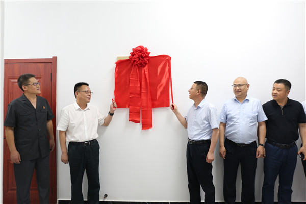 北京金融法院张雯:以高标准金融司法护航高水平对外开放