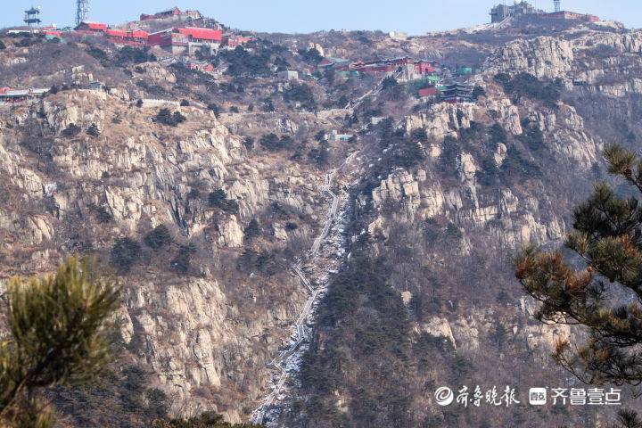 泰山盘道上机器狗引网民关注 速度很快!能驮人吗?