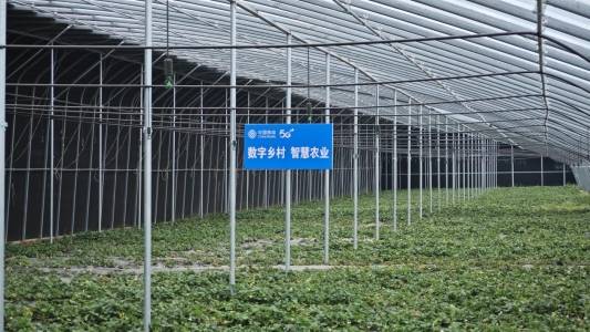 农业农村部:推进设施种植数字化