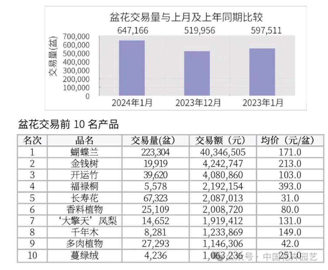 2024年12月2日最新脱色絮凝剂价格行情走势查询