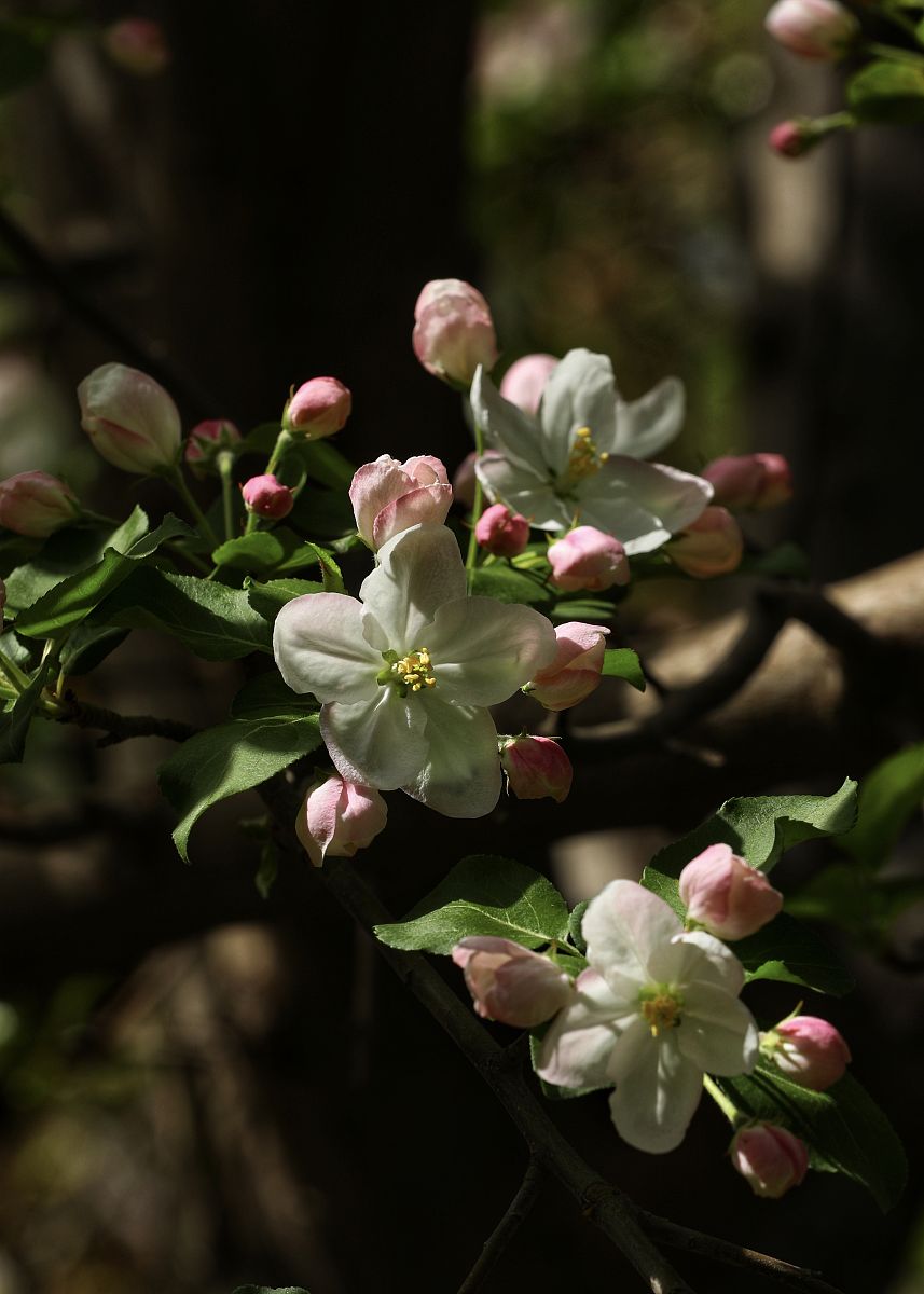 M1统计口径扩围在即 未来将更好体现企业投资和居民消费变化