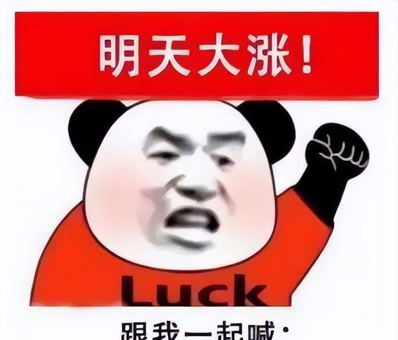 四大利好,集中来袭!