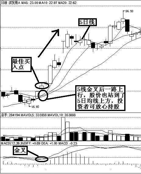 1627只股短线走稳 站上五日均线
