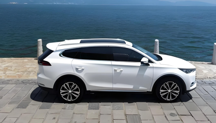 2024年11月白俄罗斯电动汽车销量环比增加约42%