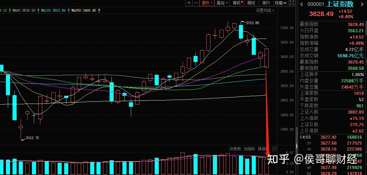 中船系概念下跌1.15%，主力资金净流出9股