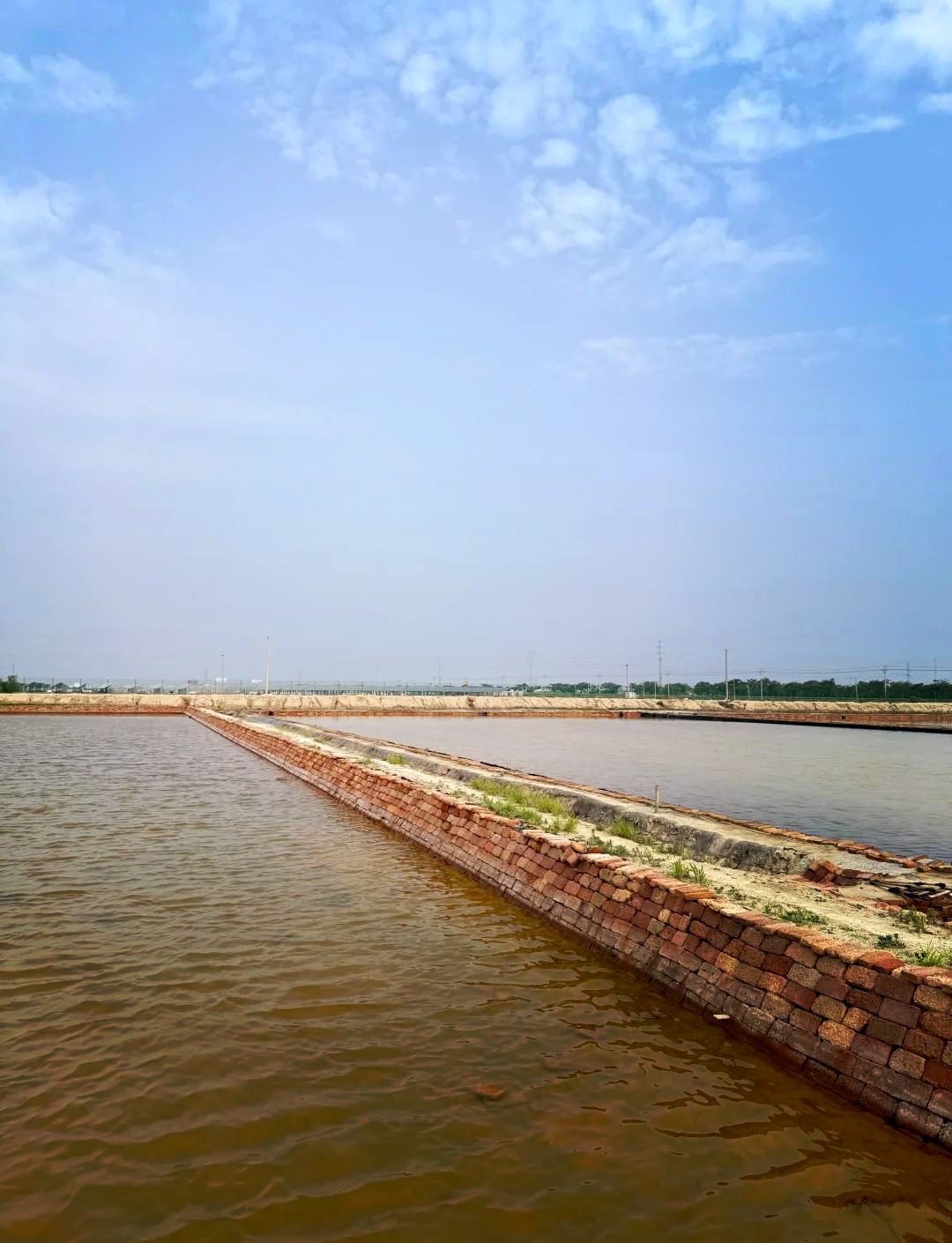 “中国海盐之都”采盐季开启 鲁银投资智慧盐田持续转型推新