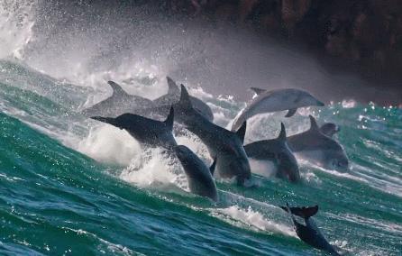 骁龙与中国国家地理连续携手六年,以影像科技之力探索未至之境