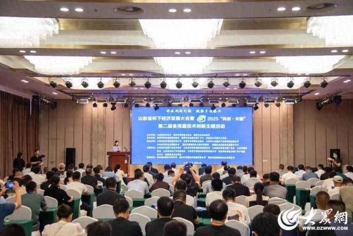 海南举办科技创新债券专题培训会 助力科创企业加速发展