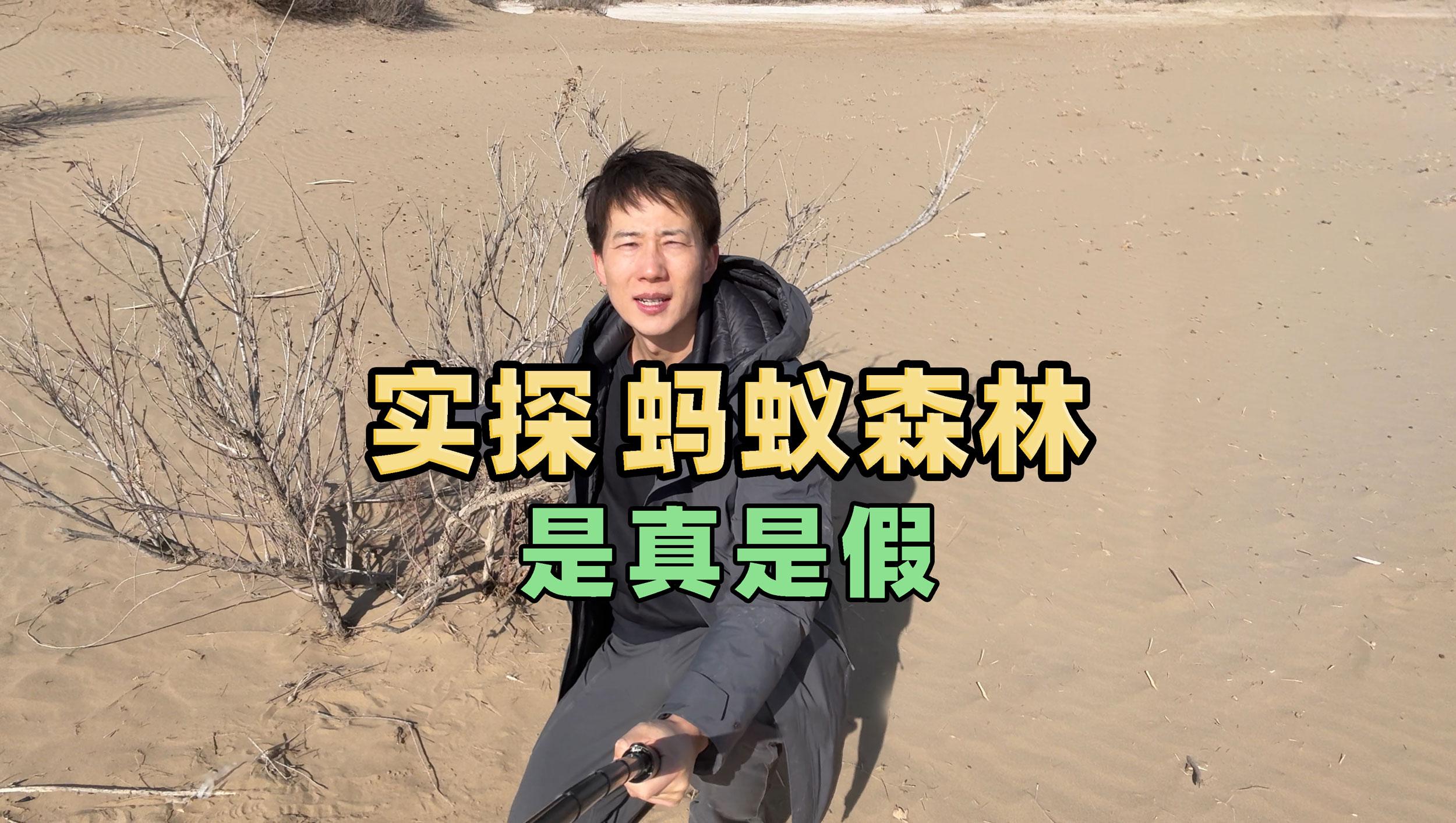 蚂蚁森林9年种下6.19亿棵树，蚂蚁集团为种树已累计协议捐资超45亿元