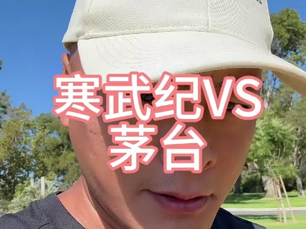 寒武纪VS茅台:芯片新贵与白酒巨头的“股王”之争