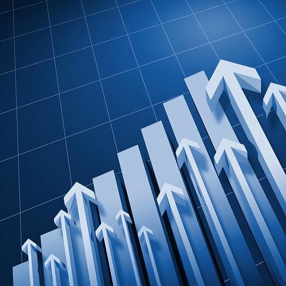 国联水产上半年实现营收16.51亿元 国际业务表现亮眼