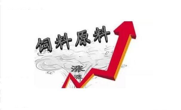 硅料库存或将再度累积 组件涨价接受度仍未明朗