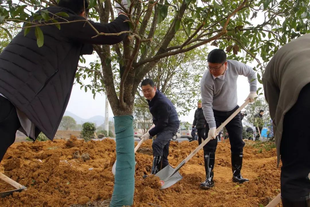 时间会奖励种树的人!粤开证券诠释“慢投资”之道