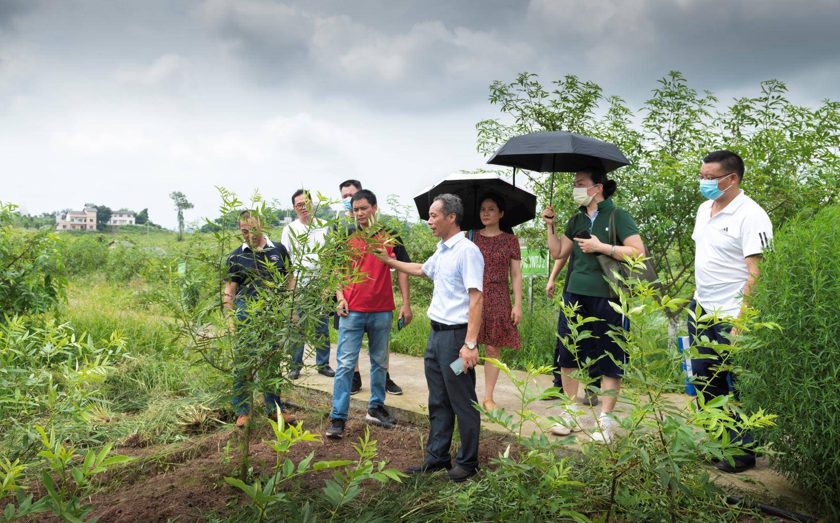 华泰资产杨平:“投资+投行”双轮驱动 模式优化助力科技创新