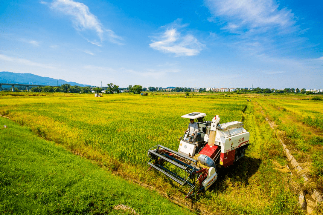 华泰资产杨平:“投资+投行”双轮驱动 模式优化助力科技创新