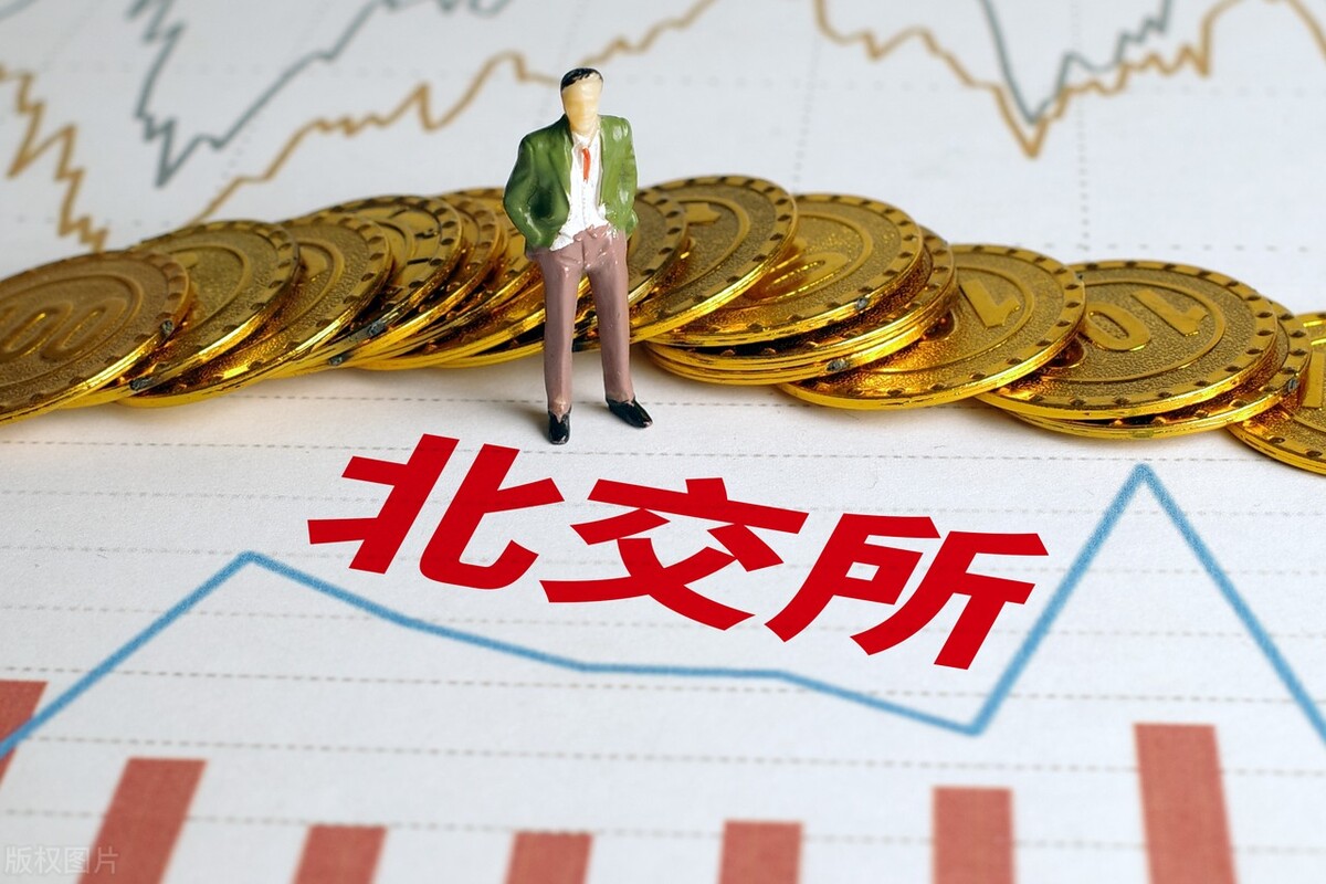 北交所股票全天成交额215.04亿元,62股成交额超亿元