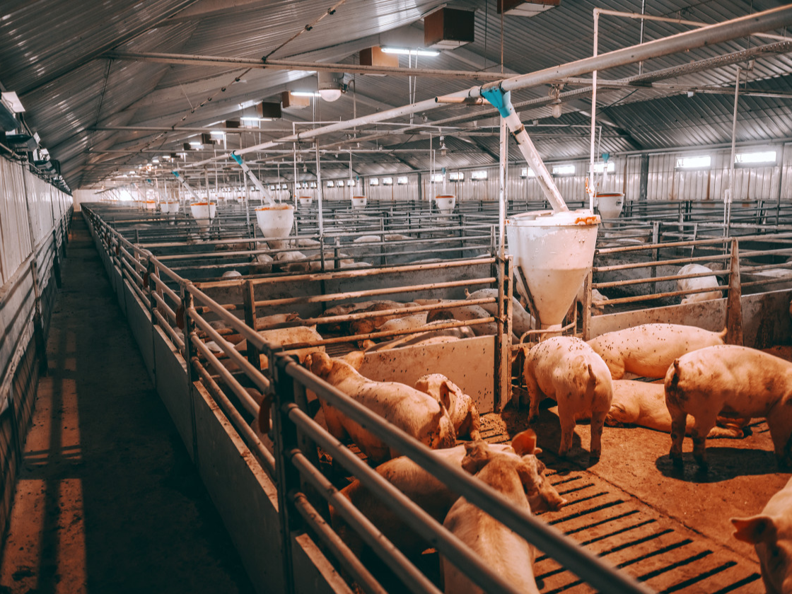 中证指数有限公司修订中证农银乡村振兴指数编制方案