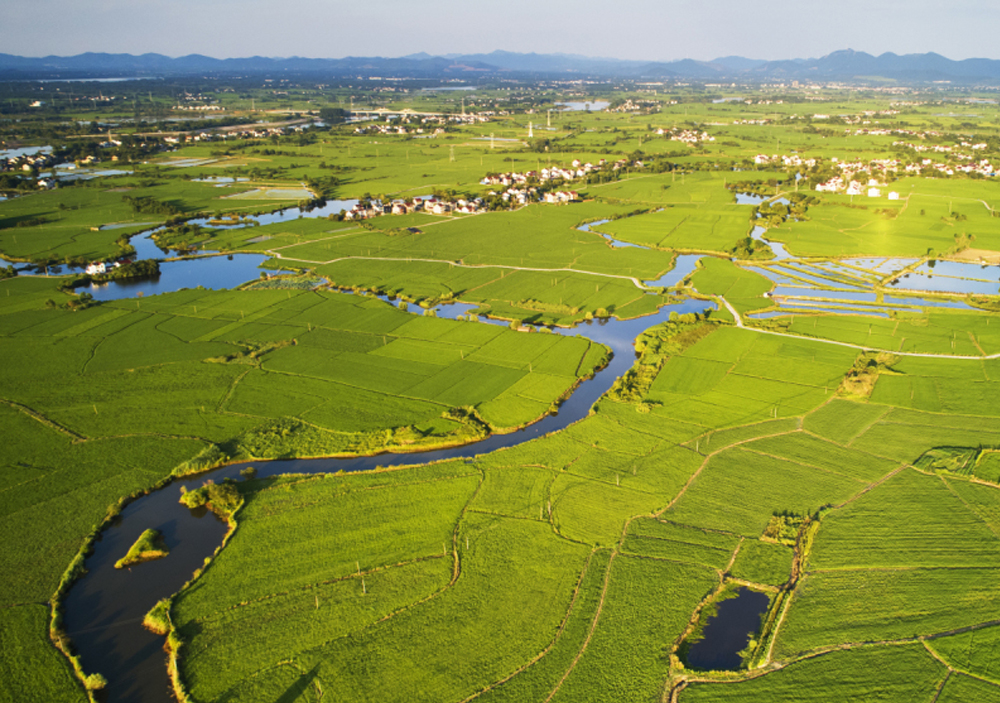 全球城市绿色低碳透明度指数(CGTI):信息公开如何驱动全球城市绿色低碳转型?