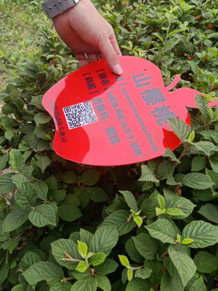 美农生物:年产10万吨玉米蛋白精加工项目取得生产许可证