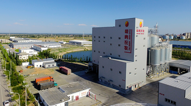晓鸣股份：2025年12月鸡产品销售收入同比下降37.07%