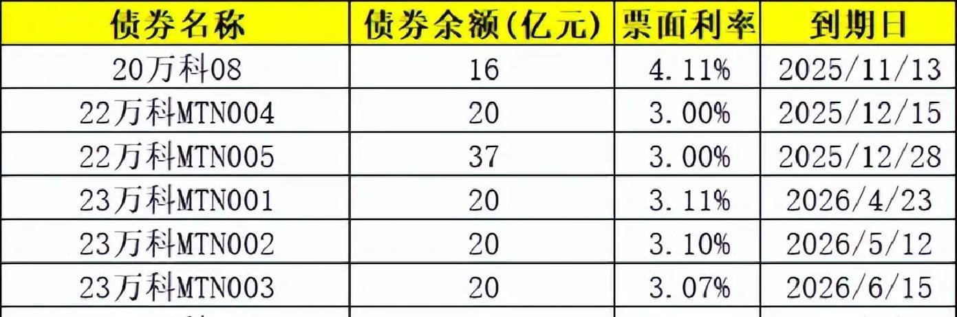 57亿债券获展期，万科开年化债提速