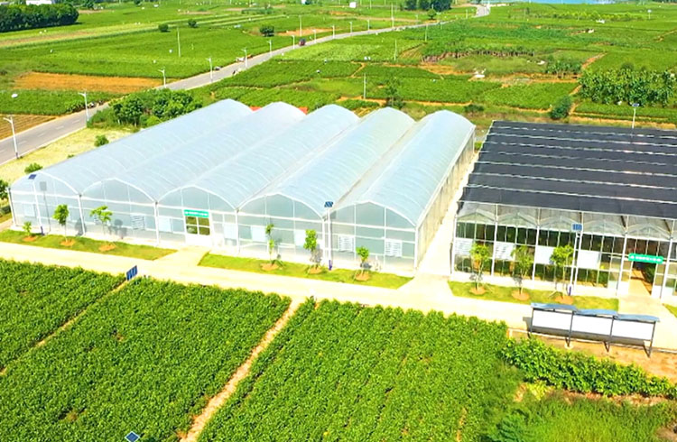 园区探“新”：一颗“智核”滋养创新之花