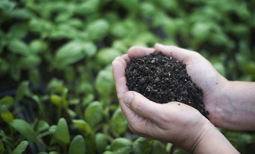 转基因概念涨4.25%,主力资金净流入5股