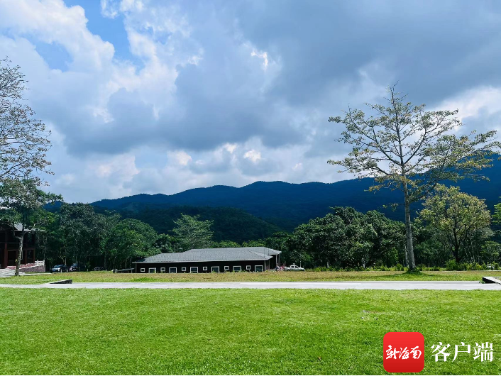 全国政协委员朱鼎健:建议系统构建海南旅游数字资产发展机制