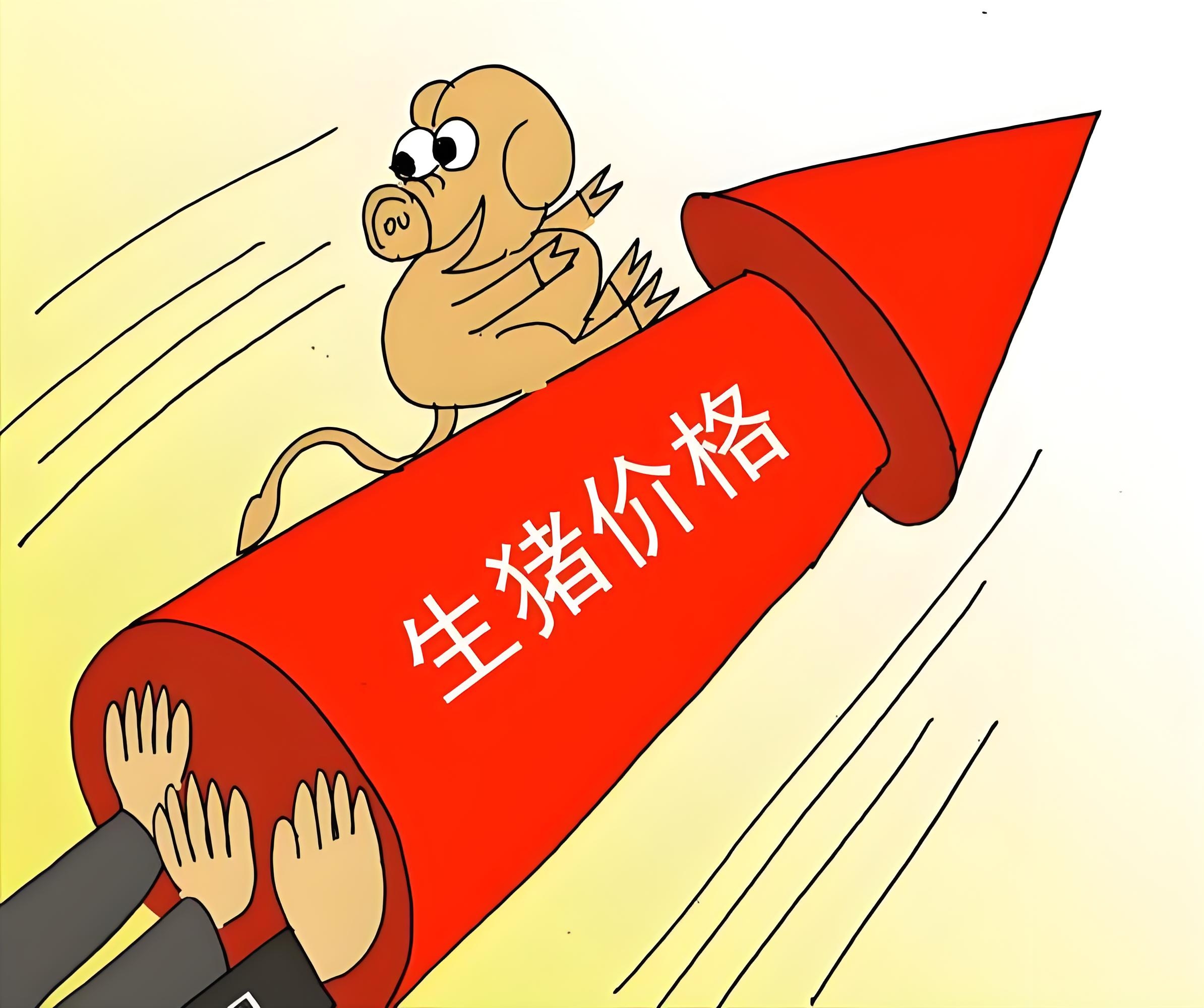 观察:生猪价格跌破11元/公斤 价格见底路在何方?