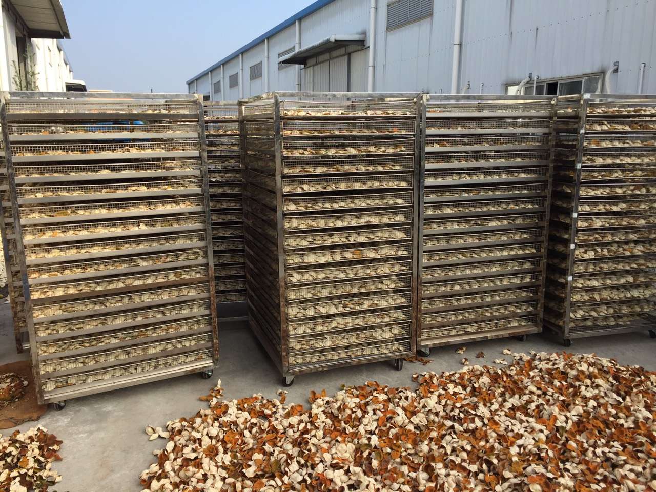 朗进科技获得外观设计专利授权:“开闭式一体烘干机组(5HP)”