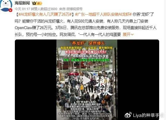 风口之上:“养龙虾”的热闹与隐忧