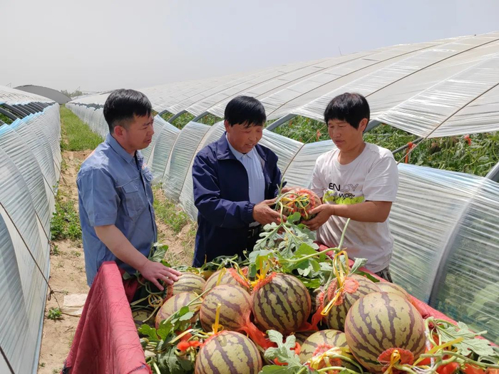 山西:要因地制宜发展新型农村集体经济