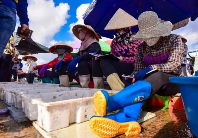 中国成为越南最大的龙虾出口市场