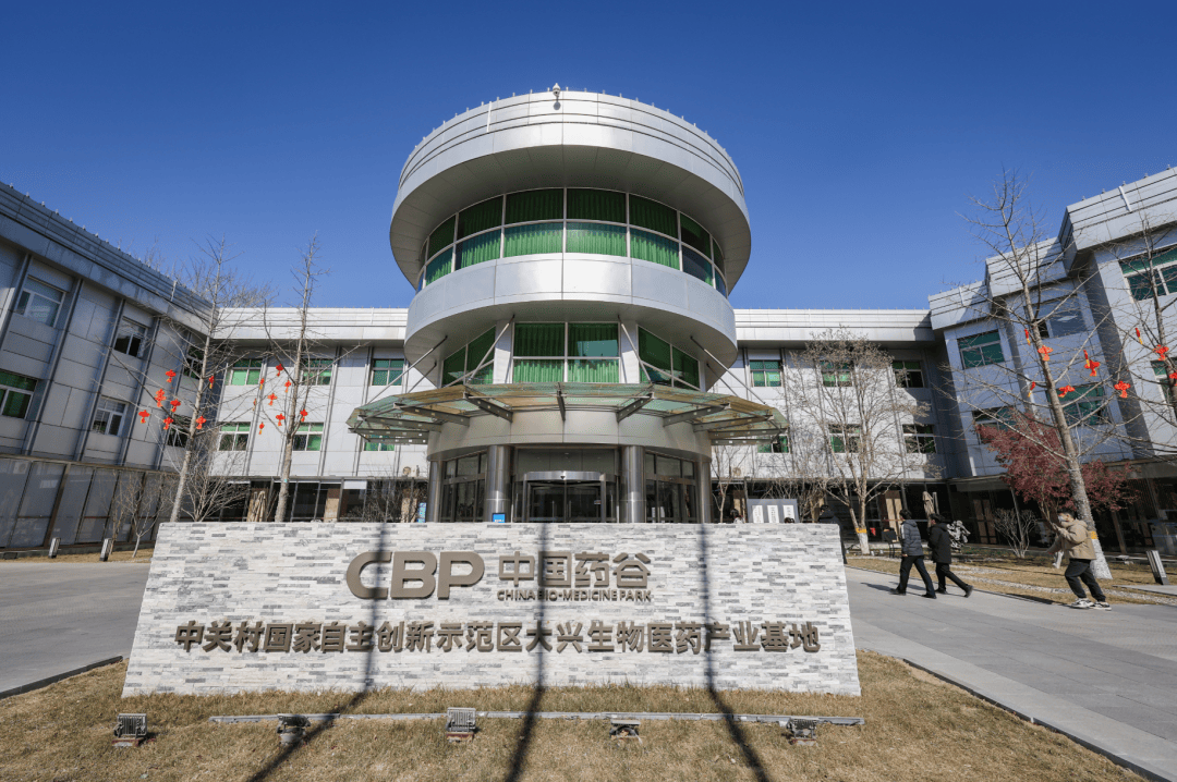 中关村氢能产业联盟仙存妮:2026年将是氢能交通领域商业化元年