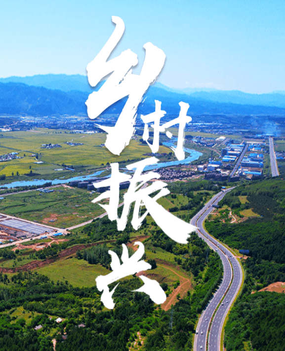 齐福民:做实农民专业合作社,关键是利益联结机制 | 投资新农人