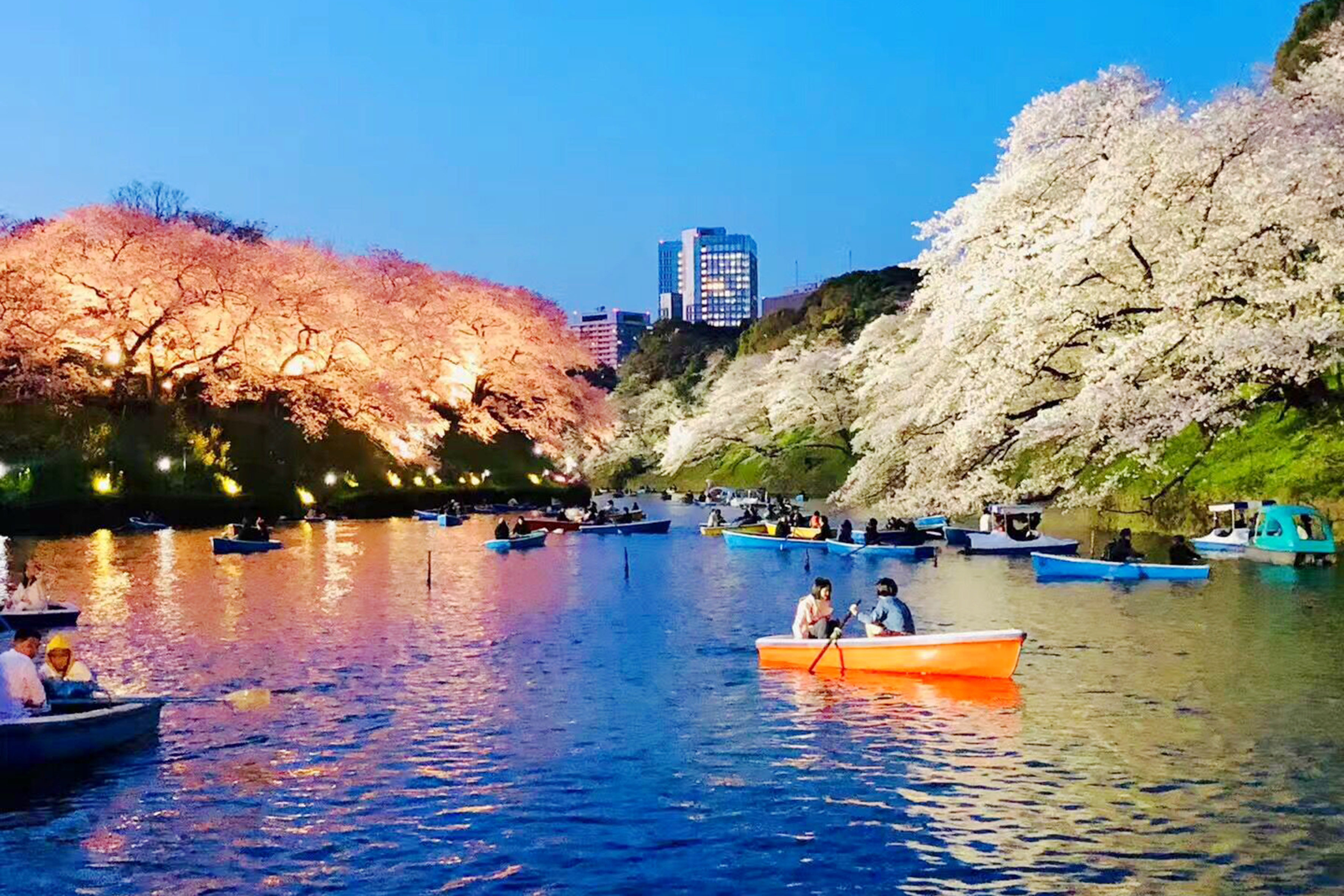 3月中国赴日游客人数同比下降超五成；爱马仕盘中股价下跌超10%丨消费早参