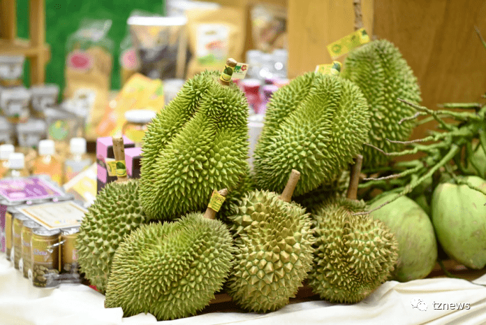 今年1月至3月柬埔寨橡胶及橡胶制品出口激增42.5%