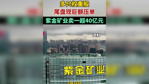 大中矿业:目前大中矿业(上市公司层面)仅有“大中转债”这一可转债